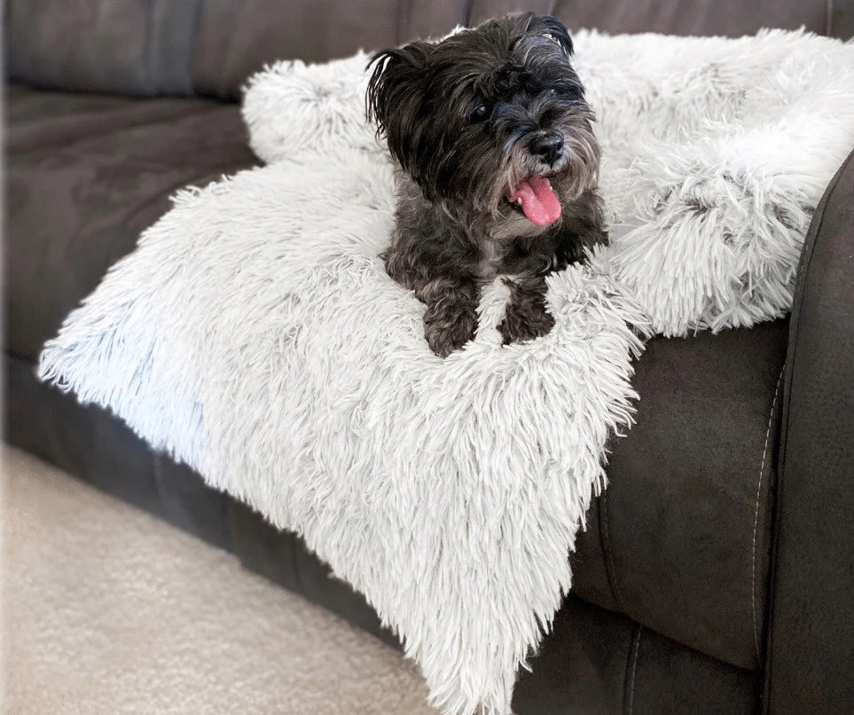 Dog Bed Barkley and Bella Bliss Bed Calming Sofa