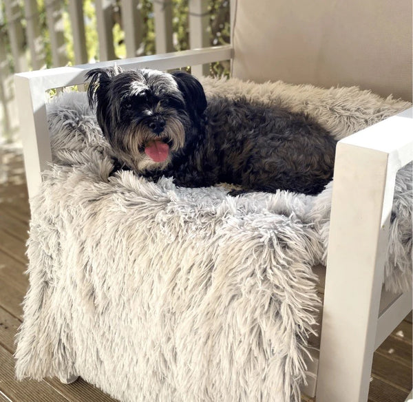 Dog Bed Barkley and Bella Bliss Bed Calming Sofa