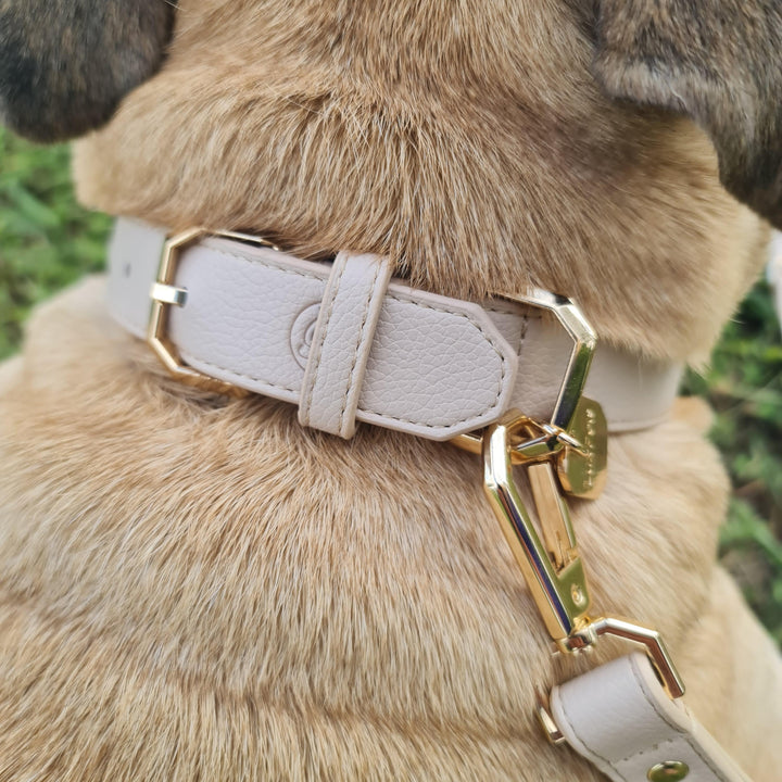 Leather Dog Collar - Taupe