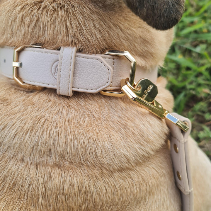 Leather Dog Collar - Taupe