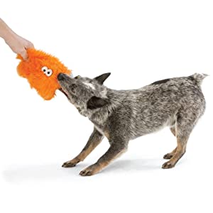 West Paw Roudie Tough Plush Dog Toy - Taylor