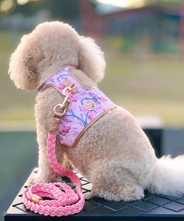 Dog Harness The Lady - HGP