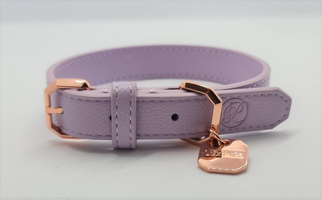 Leather Dog Collar - Lilac
