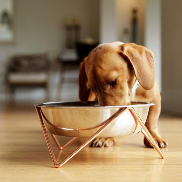 Elevated Woof Luxe Stainless Steel Dog Bowl With Copper Stand - Bendo