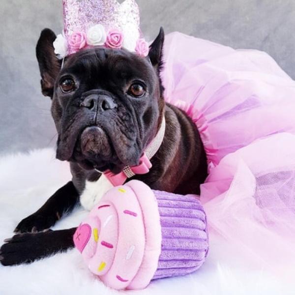 ZIPPYPAWS CUPCAKE PINK