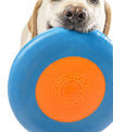 Planet Dog Orbee-Tuff Zoom Flyer Disc Dog Toy